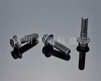 -Q181-Q180--外六角法蘭螺栓 -10.9級(jí)- 黑色達(dá)克羅   花齒法蘭螺栓